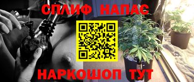 стафф Тайшет