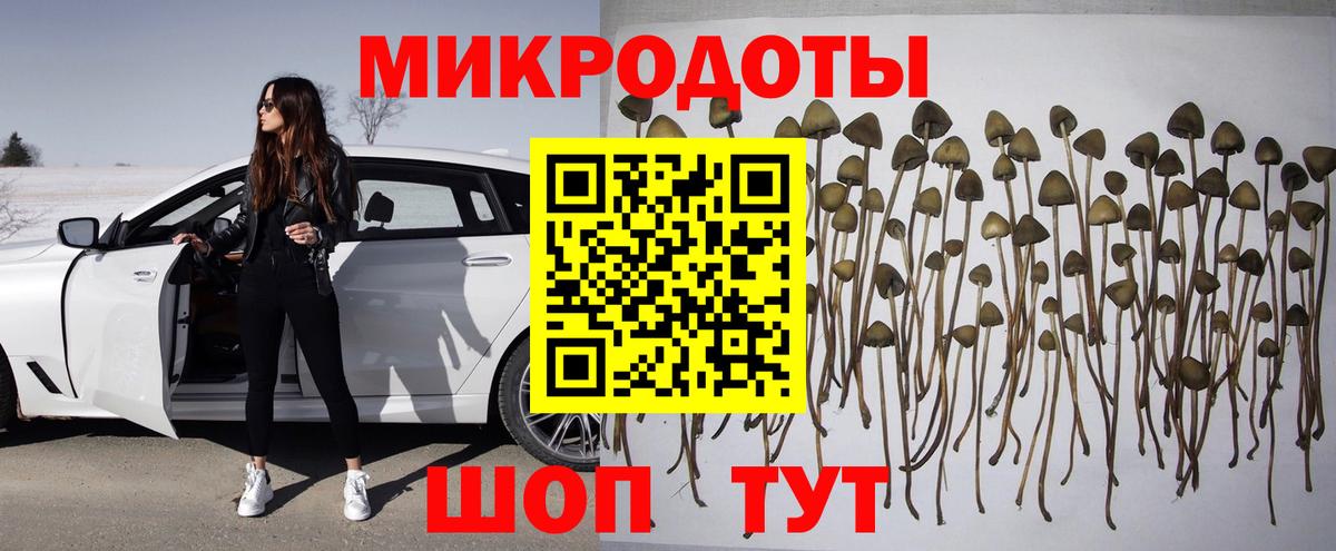 Галлюциногенные грибы Psilocybine cubensis  Вход с VPN  Аргун 