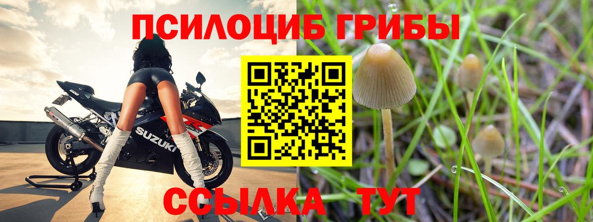 Галлюциногенные грибы мицелий Аргун
